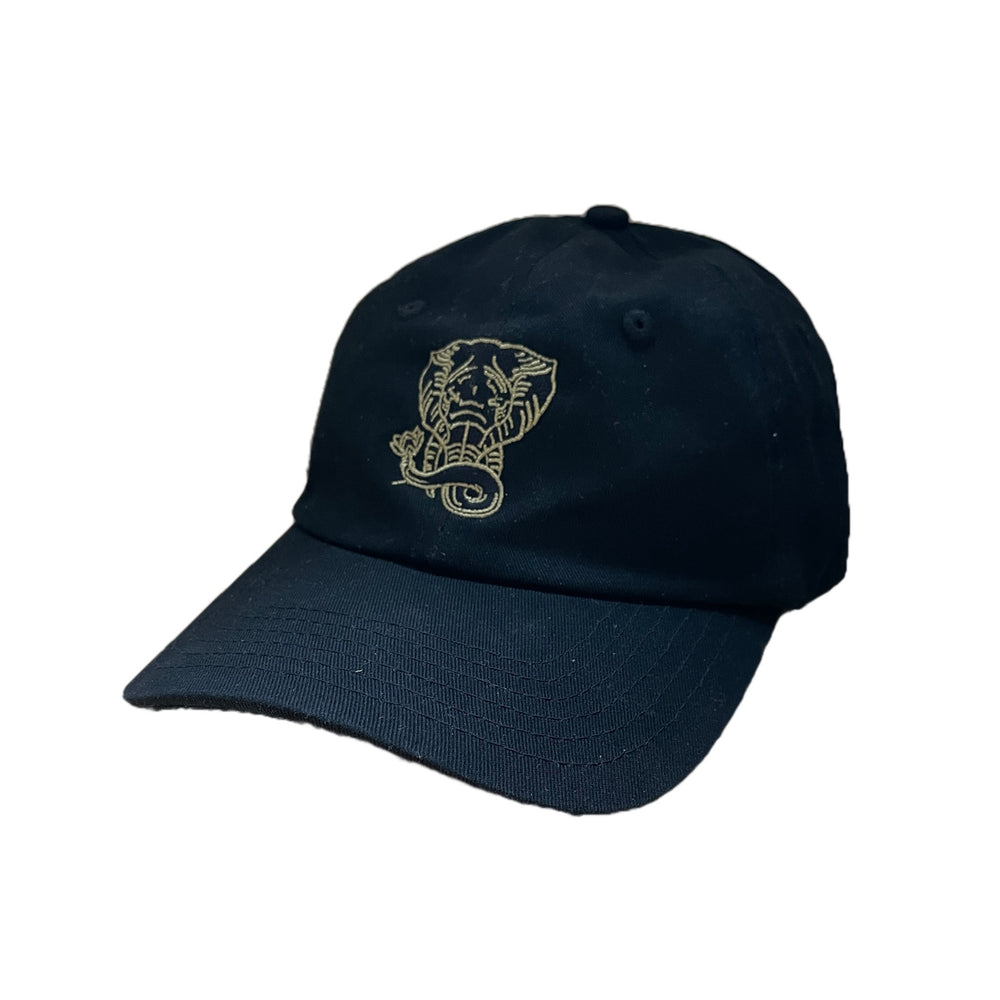 Mascot Dad Hat