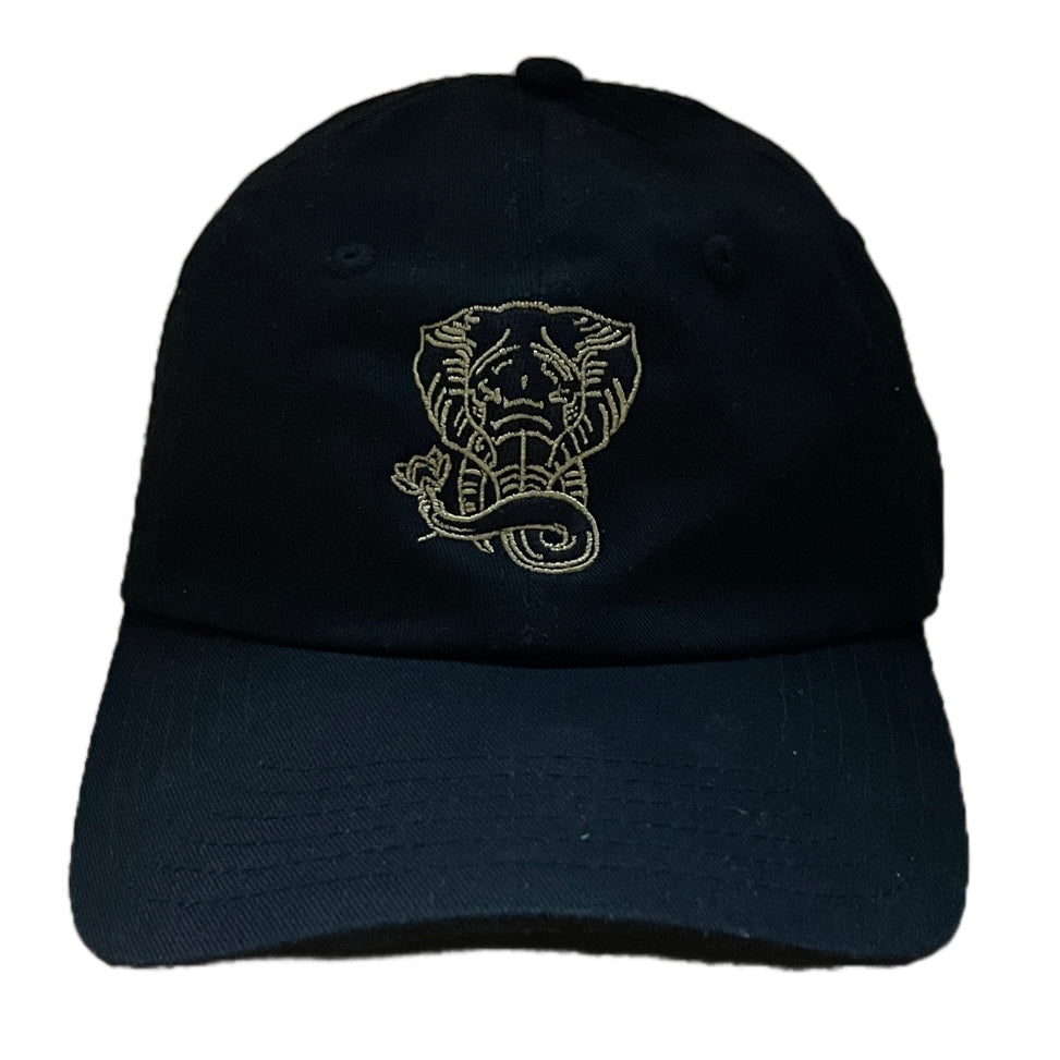 
                  
                    Mascot Dad Hat
                  
                